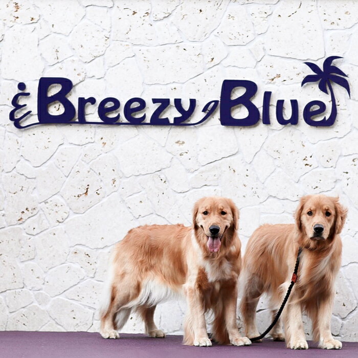 貸別荘BreezyBlue淡路島 ご利用券[10月〜3月宿泊限定](10,000円分)