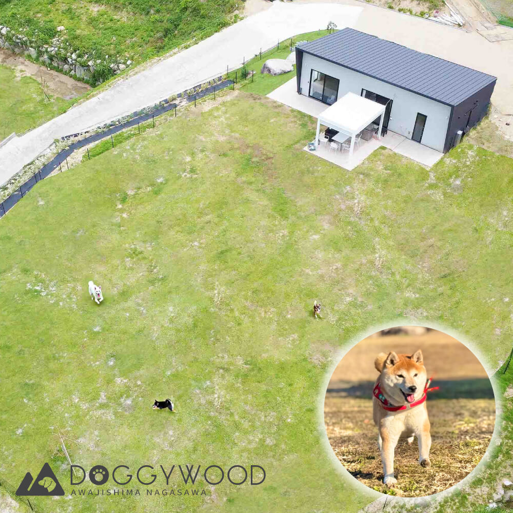 【ふるさと納税】淡路島で愛犬と泊まれる宿<DOGGYWOOD>で使える宿泊ご優待券60,000~100,000円分