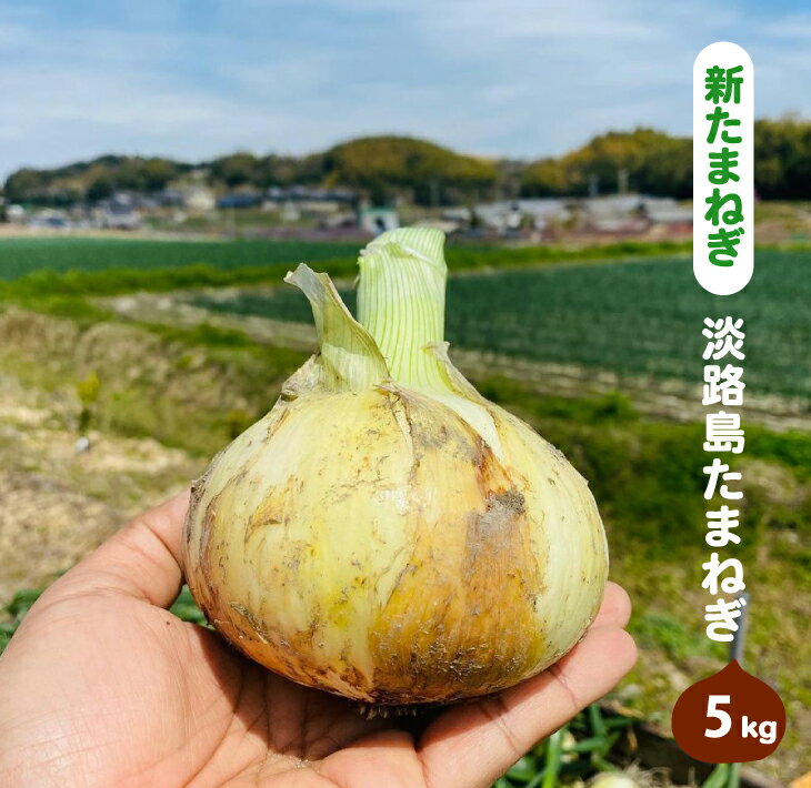 【ふるさと納税】【新たまねぎ】淡路島たまねぎ(5キロ)【発送時期：2024年4月中旬～5月中旬頃】