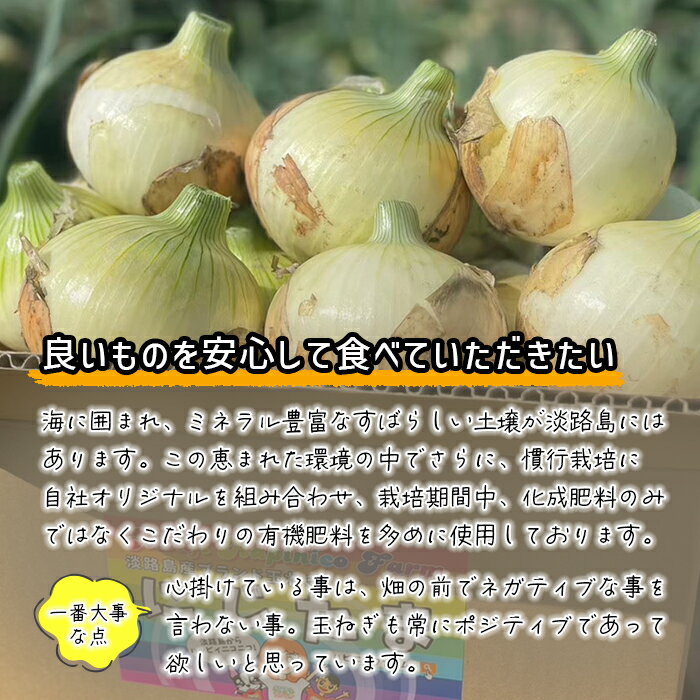 【ふるさと納税】まるでフルーツ？！淡路島産ブランド新玉ねぎ 極早生 「にじたま」 20kgダンボール入り【発送時期：2024年1月中旬～4月頃】