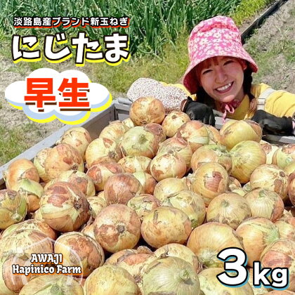 【肉厚ジューシー!!甘みも抜群】淡路島産ブランド新玉ねぎ 早生 「にじたま」 3kgダンボール入