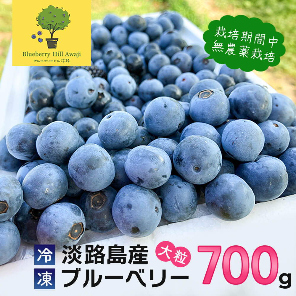 【淡路島産】大粒ブルーベリー 700g 冷凍生果《栽培期間中、無農薬栽培》