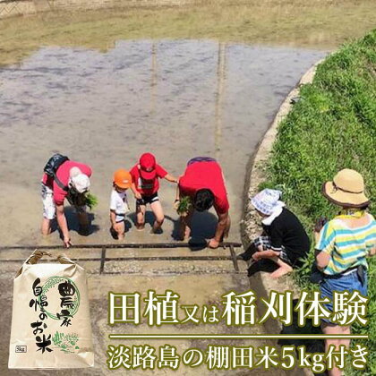 田植又は稲刈体験　淡路島の棚田米5kg付