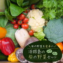 1位! 口コミ数「7件」評価「4.86」淡路島の旬の野菜セット