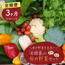 24位! 口コミ数「0件」評価「0」【定期便】淡路島の旬の野菜セット 3ヶ月コース（月1回×3回）