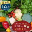 15位! 口コミ数「0件」評価「0」【定期便】淡路島の旬の野菜セット 1年コース（月1回×12回）