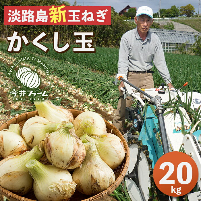 野菜・きのこ(たまねぎ)人気ランク14位　口コミ数「0件」評価「0」「【ふるさと納税】【新たまねぎ】今井ファームの淡路島たまねぎ「かくし玉」20kg【発送時期：2025年4月下旬〜5月頃】」