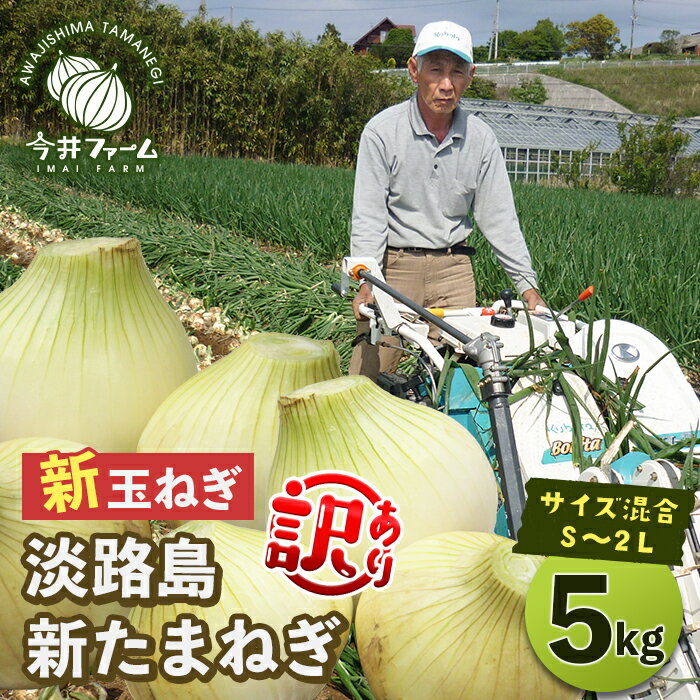 【ふるさと納税】【新たまねぎ】【訳あり】今井ファームの淡路島たまねぎ 5kg【サイズ混合S～2L】【発送時期2024年4月下旬～6月上旬頃】