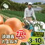 【ふるさと納税】【訳あり】今井ファームの淡路島たまねぎ 3kg・5kg・10kg【サイズ混合S~2L】 5,000円