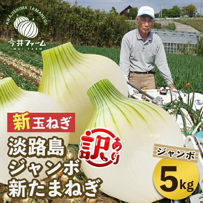 【ふるさと納税】【新たまねぎ】【訳あり】今井ファームのジャンボ淡路島たまねぎ 5kg【2L～3L】のサムネイル