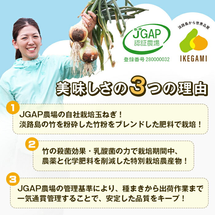 【ふるさと納税】【定期便】淡路島 池上農場の完熟たまねぎ「あやたけ」　12ヶ月コース