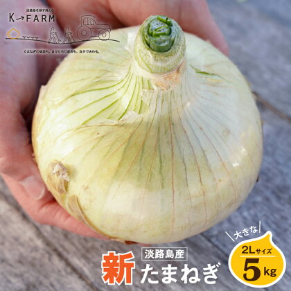 【新たまねぎ】淡路島たまねぎ 大きな2Lサイズ 5kg【発送時期：2024年3月～6月上旬頃】