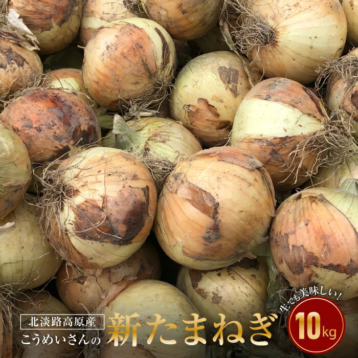 【ふるさと納税】【新たまねぎ】こうめいさんの玉葱10kg【発送時期：2024年4月中旬～5月頃】