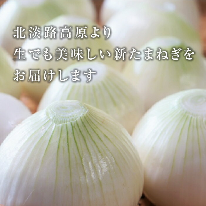 【ふるさと納税】【新たまねぎ】こうめいさんの玉葱10kg【発送時期：2024年4月中旬～5月頃】