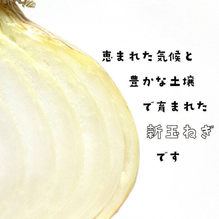 【ふるさと納税】淡路島産新玉ねぎ 5kg　玉ねぎ 新玉ねぎ 国産 淡路島 野菜 甘い やわらかい みずみずしい サラダ 生食 加熱 料理 旬野菜 産地直送 5キロ 家庭用 お取り寄せ グルメ 人気