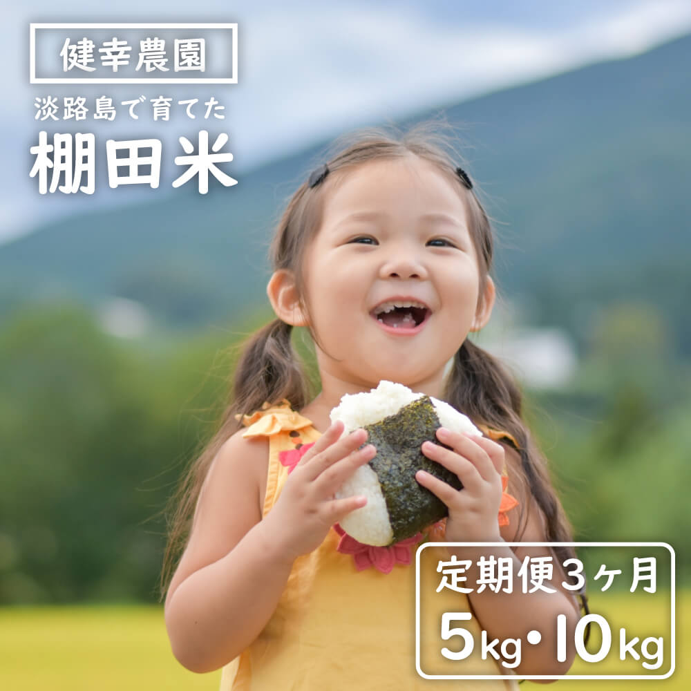 [定期便]健幸農園の棚田米 5kg×3ヵ月・ 10kg×3ヵ月セット 精米 白米 毎月お届け 農家直送