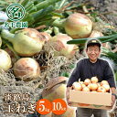 【ふるさと納税】名手農園の淡路島特産玉ねぎ5kg・10kg たまねぎ 国産 野菜 オニオン 産地直送 甘い