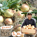 【ふるさと納税】【新たまねぎ】名手農園の淡路島特産玉ねぎ5kg・10kg【発送時期:2026年3月~5月頃】 甘い 玉ねぎ 産地直送 淡路島産