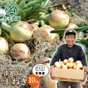 【ふるさと納税】【定期便】名手農園の淡路島特産玉ねぎ10kgの12ヶ月コース