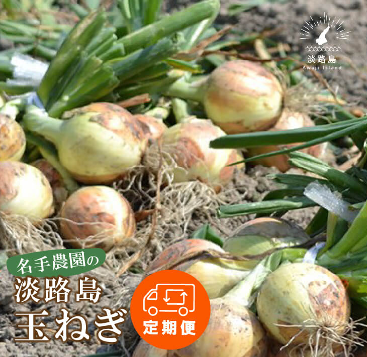 【ふるさと納税】【定期便】名手農園の淡路島特産玉ねぎ10kg