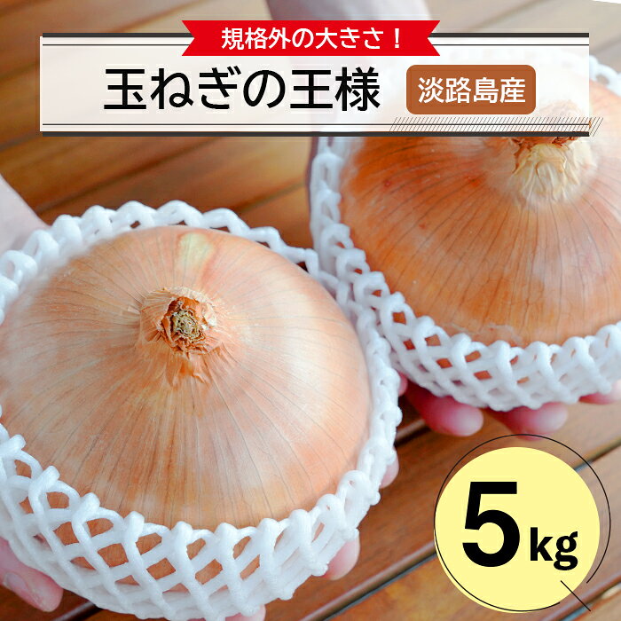 玉ねぎの王様5キロ