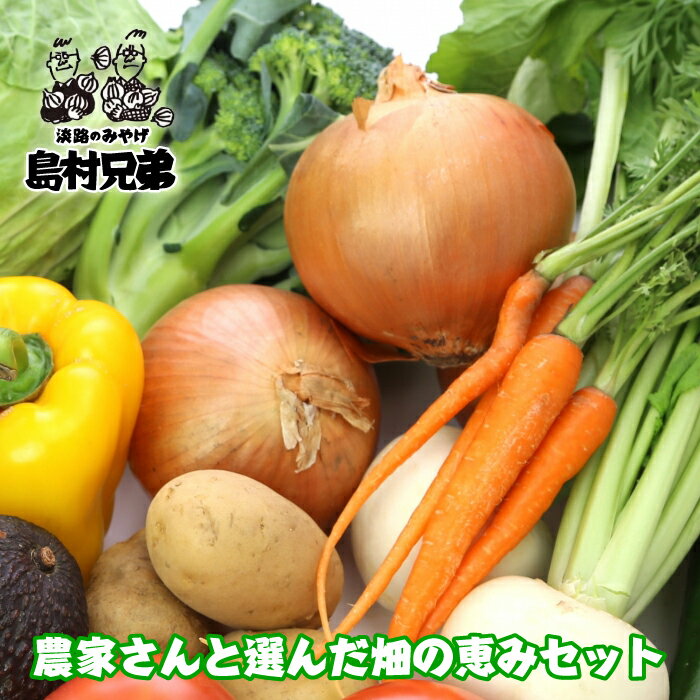 【ふるさと納税】農家さんと選んだ畑の恵みセット