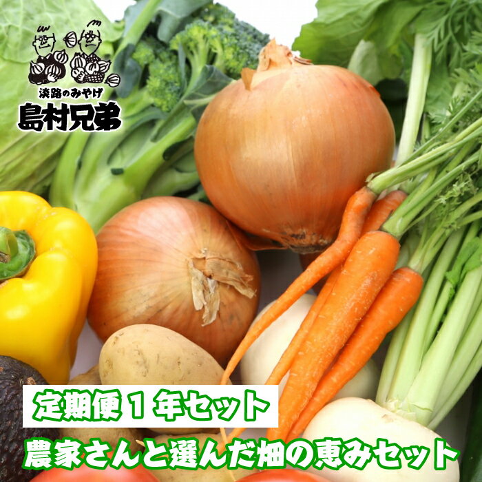 [定期便1年セット]農家さんと選んだ畑の恵みセット 野菜セット 詰め合わせ 国産