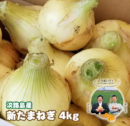 淡路島産　新たまねぎ　4kg【発送時期：2024年3月～5月頃】