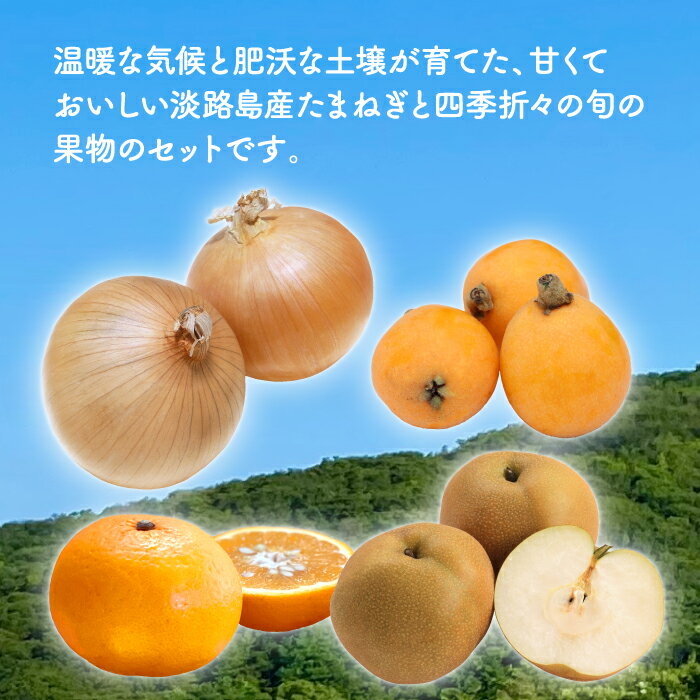 【ふるさと納税】【新たまねぎ】淡路島産たまねぎ5kgと旬の果物少々セット【発送時期：2024年4月～5月頃】