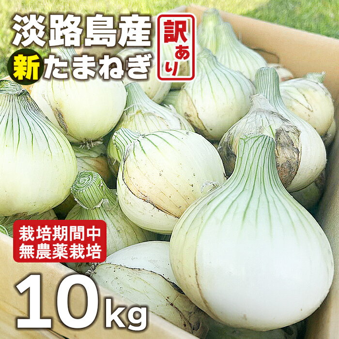 【ふるさと納税】淡路島産 新玉ねぎ 10kg【栽培期間中、無農薬栽培】【訳あり】