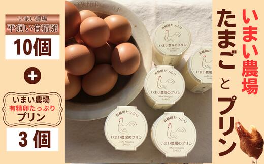 【ふるさと納税】平飼い 有精卵 10個 と プリン 3個　いまい農場　セット 国産 濃厚 卵 たまご 有精卵 デザート スイーツ スィーツ 贈り物 兵庫県 宍粟市 しそうし BQ2 農場で大切に育てた平飼い鶏の有精卵と有精卵をたっぷり使用し...