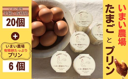 【ふるさと納税】平飼い 有精卵 20個 と プリン 6個　いまい農場　セット 国産 濃厚 卵 たまご 有精卵 デザート スイーツ スィーツ 贈り物 兵庫県 宍粟市 しそうし BQ4 農場で大切に育てた平飼い鶏の有精卵と有精卵をたっぷり使用し...