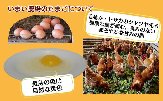 【ふるさと納税】平飼い 有精卵 20個 と プリン 6個　いまい農場　セット 国産 濃厚 卵 たまご 有精卵 デザート スイーツ スィーツ 贈り物 兵庫県 宍粟市 しそうし BQ4