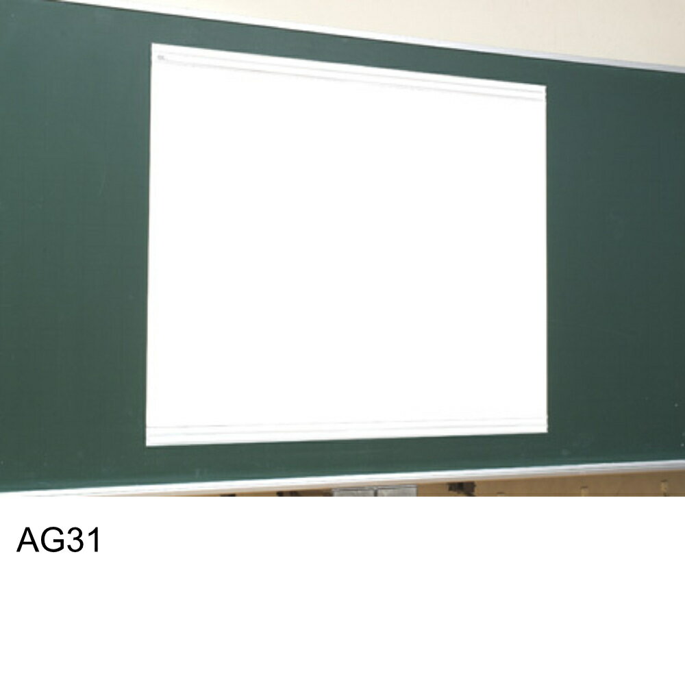 【ふるさと納税】AG31　マグネット式スクリーン　56型