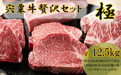 F13　宍粟牛　贅沢セット　【極　12.5Kg】ステーキ　しゃぶしゃぶ　すき焼き　ロース　　定期発送　冷蔵発送　宍粟牛　国産和牛　黒毛和牛　国産　3年肥育　牛肉　御中元　贈り物　BBQ　キャンプ　ご褒美