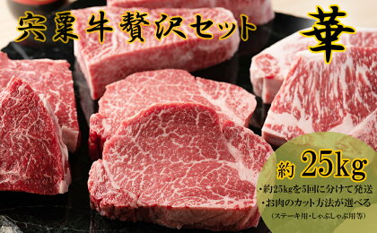 F14　宍粟牛　贅沢セット　【華　25Kg】ステーキ　しゃぶしゃぶ　すき焼き　ロース　定期発送　冷蔵発送　宍粟牛　国産和牛　黒毛和牛　国産　3年肥育