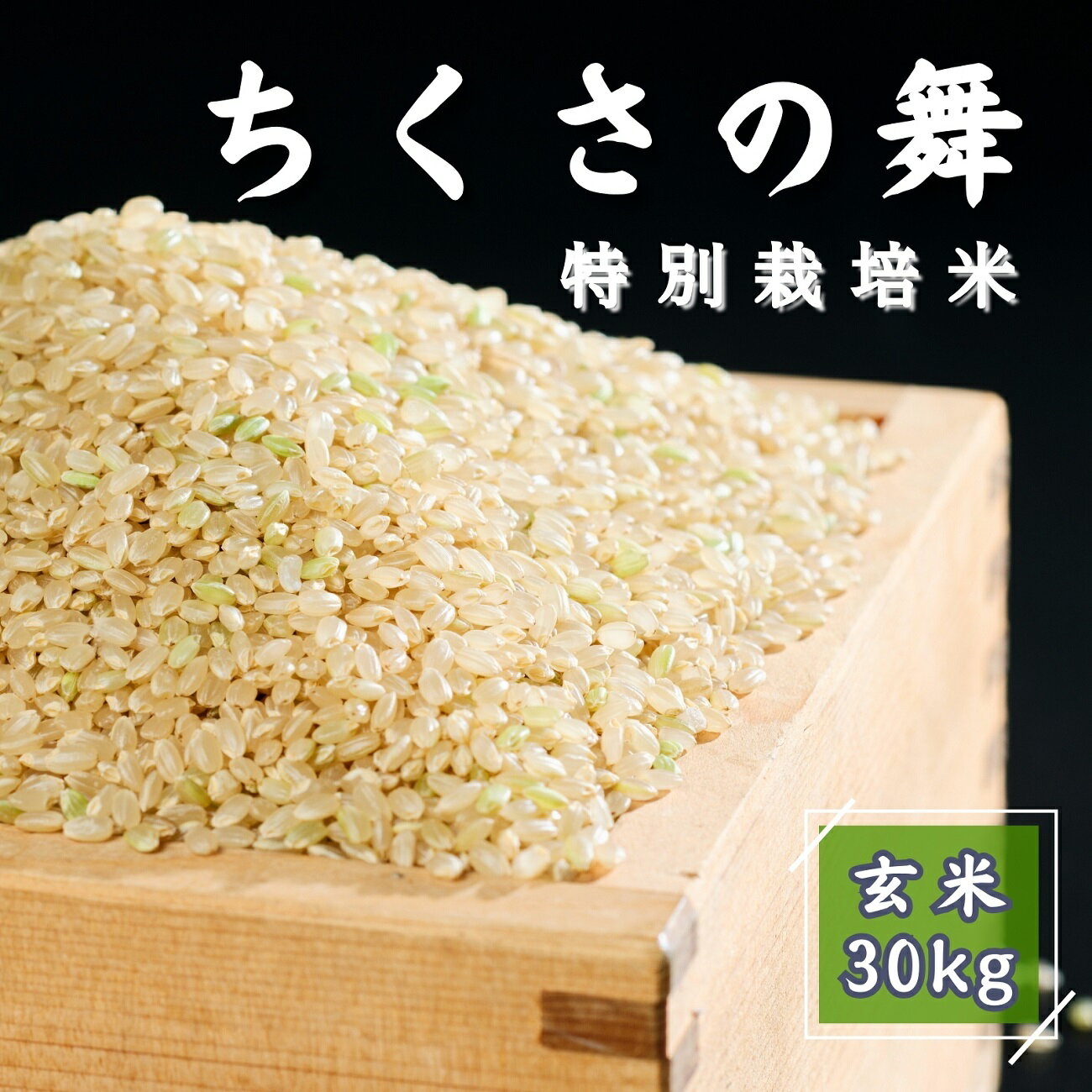 【ふるさと納税】令和6年産　新米　先行受付P13　ちくさの舞