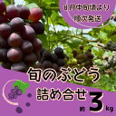 【ふるさと納税】Y3 ぶどう の詰め合わせ 約3kg(8月中旬以降順次発送) 【 ブドウ 葡萄 詰め合わせ セット 贈答 藤稔 紫玉 ピオーネ シャインマスカット ギフト 自宅用 】