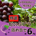 【ふるさと納税】Y5 特選 ぶどう 詰め合わせ 約6kg ※8月中旬以降順次発送※ 【 ブドウ 葡萄 詰め合わせ セット 贈答 自宅用 藤稔 紫玉 ピオーネ シ...