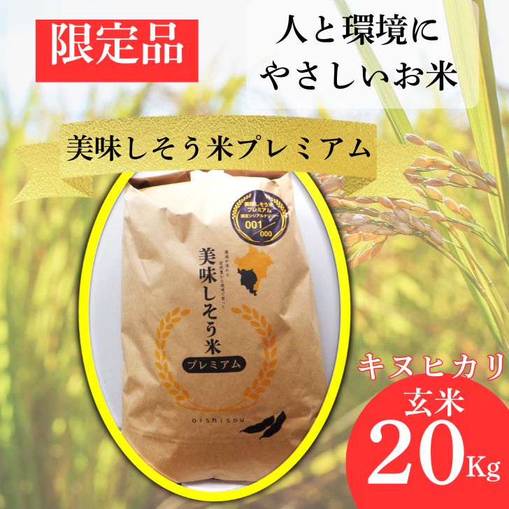 数量限定 キヌヒカリ 玄米 20Kg 令和7年産 新米 美味しそう米 プレミアム I11 [ 限定 お米 コメ 玄米 きぬひかり 兵庫県 宍粟市 ]