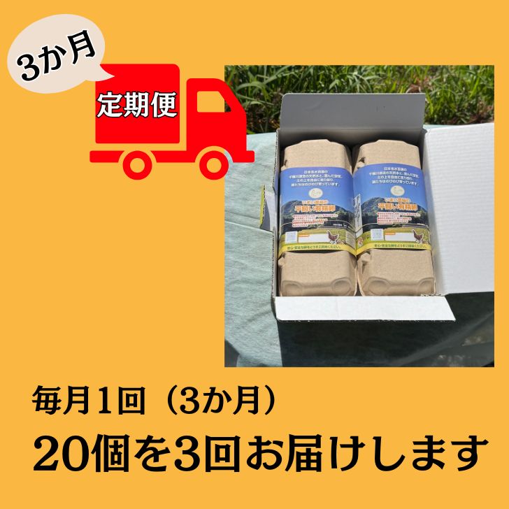 【ふるさと納税】定期便 たまご 合計60個（20個×3か月） いまい農場の平飼い有精卵 赤玉 タマゴ 玉子 国産 こだわり 兵庫県 農業省受賞 宍粟市 しそうし BQ6