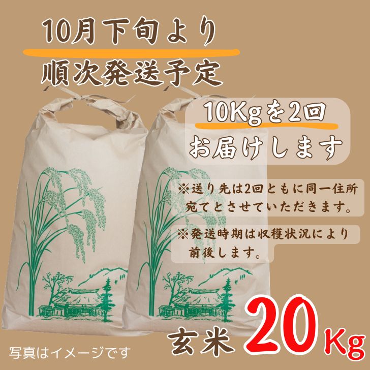 【ふるさと納税】新米 コシヒカリ 玄米 20kg 【令和8年産 受付開始】 しそうのおいしい お米 米 こめ コメ こしひかり 兵庫県産 宍粟市産 しそうし X1