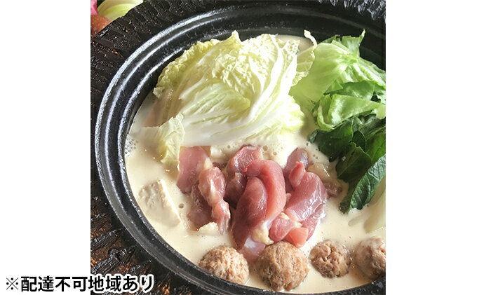 【ふるさと納税】鶏白湯スープ さつま地鶏の白鍋　【鍋セット水炊き】