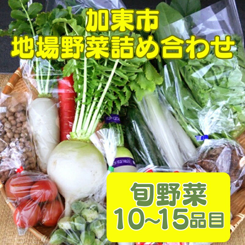 【ふるさと納税】加東市地場野菜詰め合わせ　【野菜・セット・詰