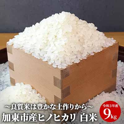 【ふるさと納税】米 令和5年産 加東市産 ヒノヒカリ 白米 