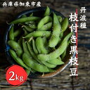 【ふるさと納税】《令和6年産》加東市産　丹波種枝付き黒枝豆2kg　【野菜・枝豆】　お届け：2024年10月中旬～2024年10月末