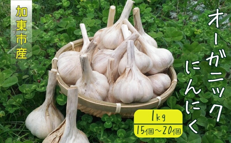 【ふるさと納税】加東市産　オーガニックにんにく　1kg（15～20個）　【野菜・根菜・ニンニク】　お届け：2024年7月上旬～2024年9月下旬