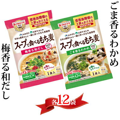 【ふるさと納税】スープで食べるもち麦24袋セット　【雑穀・加工食品・レトルト】