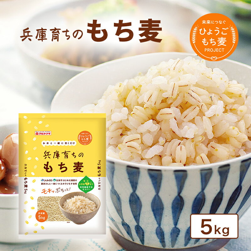 【ふるさと納税】兵庫育ちの もち麦 5kg 【雑穀】