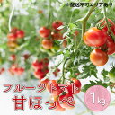 13位! 口コミ数「0件」評価「0」フルーツトマト『甘ほっぺ（フルティカ）』1kg　【野菜・トマト・フルーツトマト・とまと・1kg】　お届け：2023年11月上旬～2024年6･･･ 